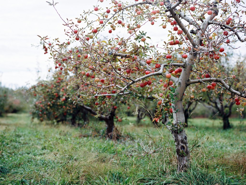 KM291013000142-14 copy